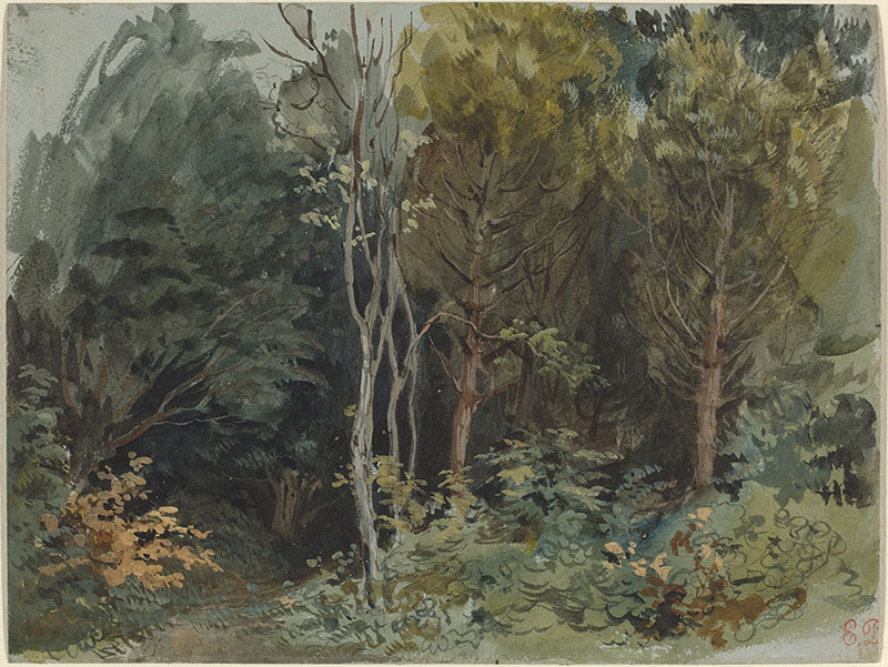 The Edge of a Wood at Nohant
1843年,风景画,水彩画