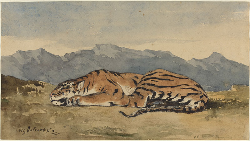 老虎 - Tiger
1830年,动物画,铅笔,水彩