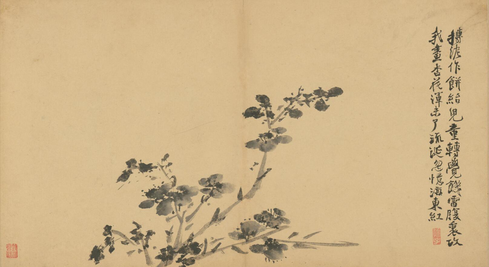 [明] 徐渭《墨花卷》