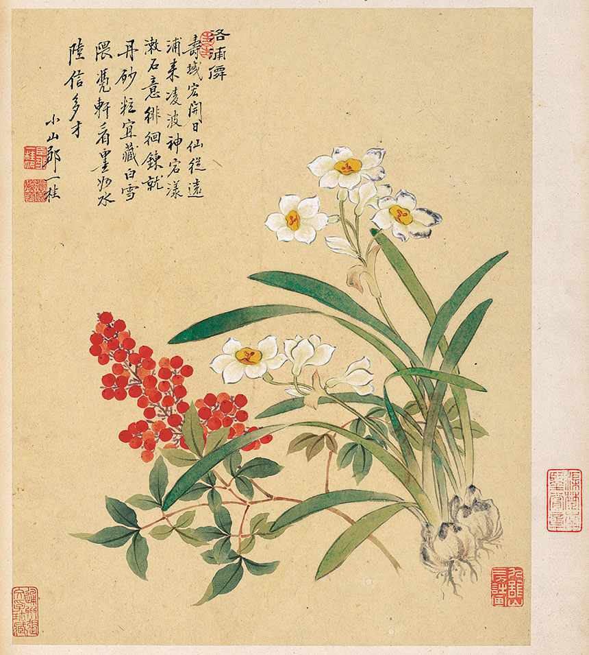 邹一桂《花卉八开-8》