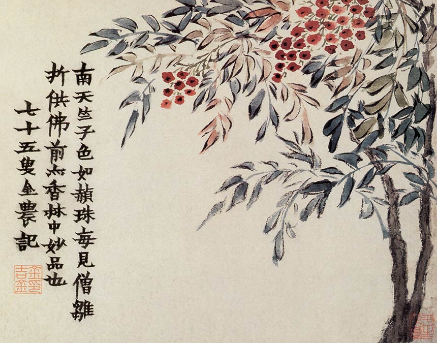 [清] 金农《花卉册六开》