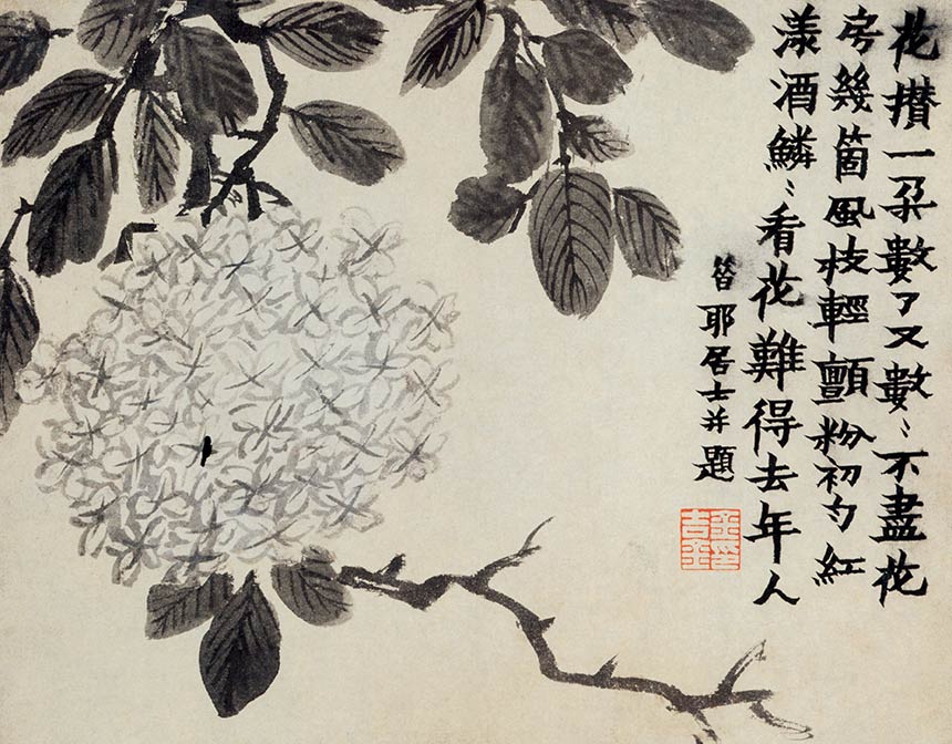 [清] 金农《花卉册六开》