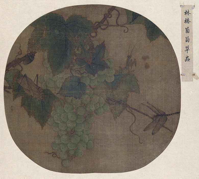 [南宋] 林椿《葡萄草虫图》｜ 丝绸上的生态微距