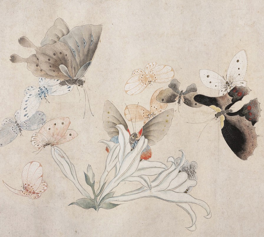 [清] 马荃《花卉蝴蝶图》 局部